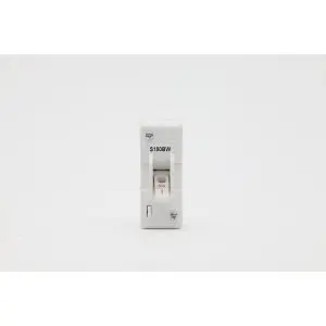 MAIN SWITCH 1P 80A B/W IP66 WHT S180BW PDL